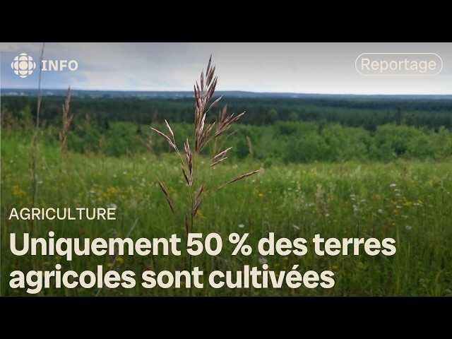 ⁣Laval réitère son intention d'imposer une redevance aux propriétaires de terres en friche