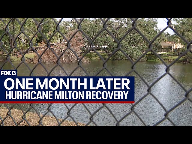 ⁣Hurricane Milton recovery far from over in Tampa