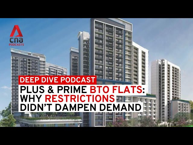 ⁣Prime and Plus BTO flats: Why restrictions didn't dampen demand | Deep Dive podcast