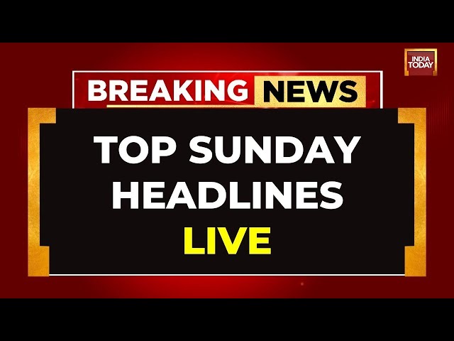 ⁣LIVE: Maharashtra, Jharkhand Polls | Trump Assassination Bid | Canadian MP Slams Trudeau