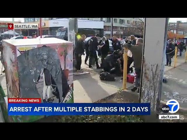 ⁣At least 9 people stabbed in Seattle in two days; suspect in custody