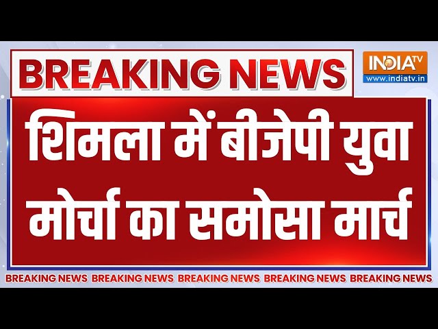 ⁣Shimla BJP Samosa March: हिमाचल में समोसे पर सियासत तेज..शिमला में बीजेपी युवा मोर्चा का समोसा मार्च