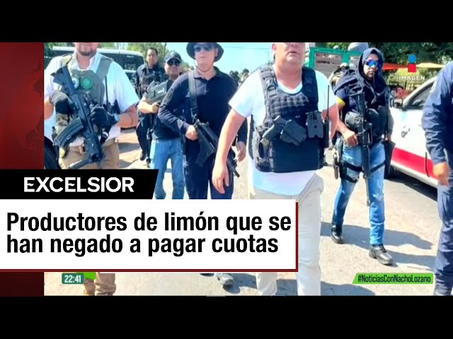 ⁣Crimen organizado corta árboles de limoneros en Michoacán