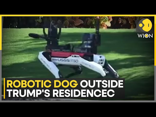 ⁣Robotic Dog Outside Trump's Residence | World News Latest | English News | WION