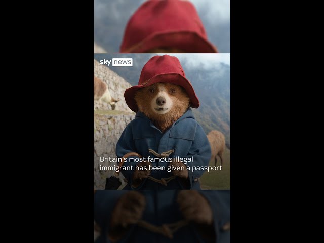 ⁣Paddington gets a passport