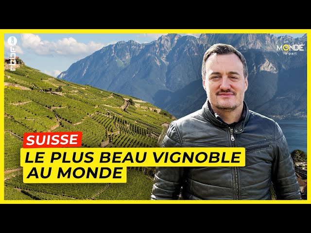 ⁣Le plus beau vignoble au monde se trouve en Suisse - Un Monde à part