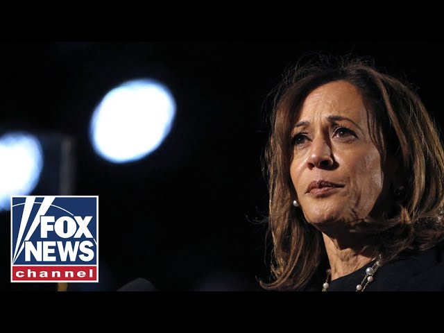 ⁣VP Harris' 'coronation' was an 'epic disaster,' says DNC official