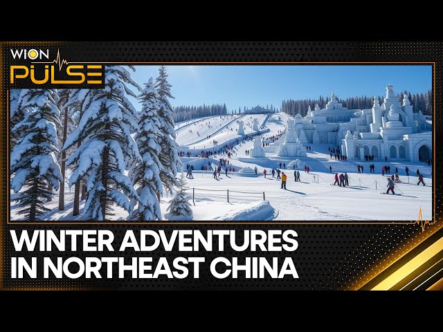 ⁣Winter Escapades in Northeast China | Latest News | WION Pulse