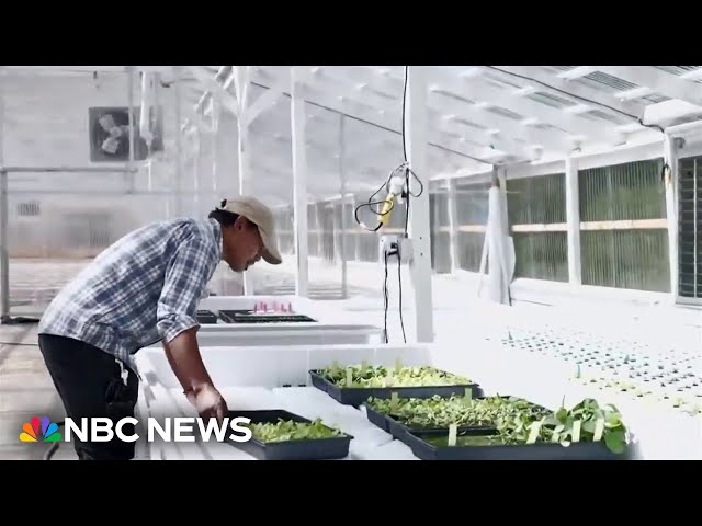 ⁣Farming nonprofit helps farmers transition to sustainable agriculture