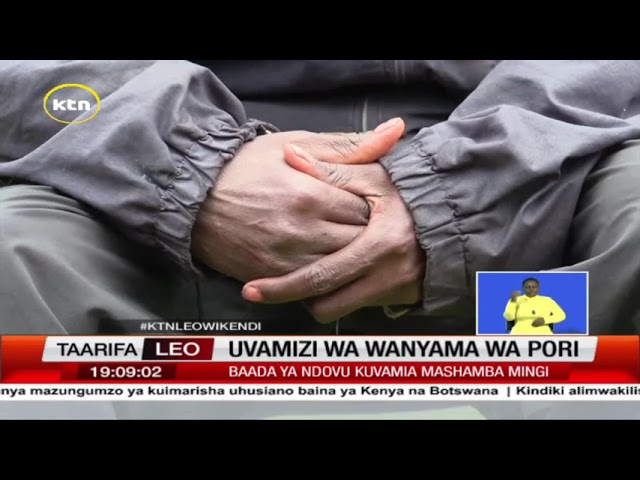 ⁣Visa vya uvamizi wa wanyama pori vimekua vikiongezeka katika jamii tofauti