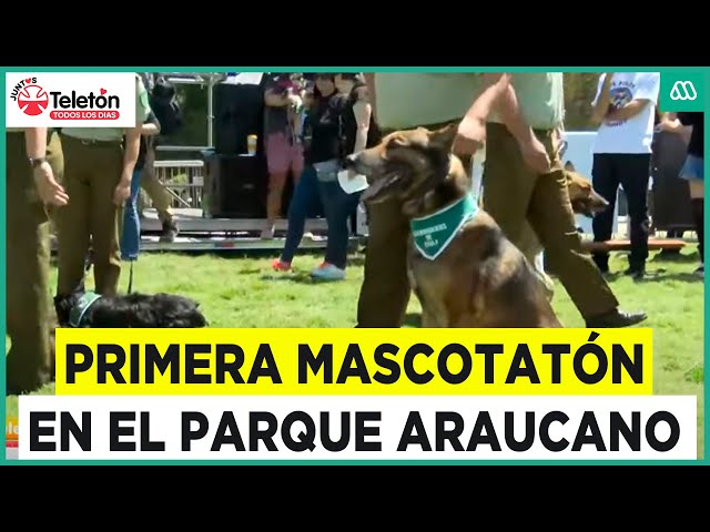 ⁣Teletón 2024 | La primera "Mascotatón" se vivió en el Parque Araucano