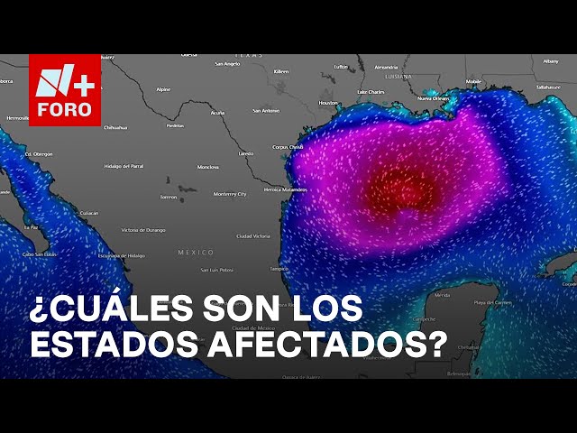 ⁣Tormenta tropical 'Rafael' se debilita en el Golfo de México - Sábados de N+ FORO