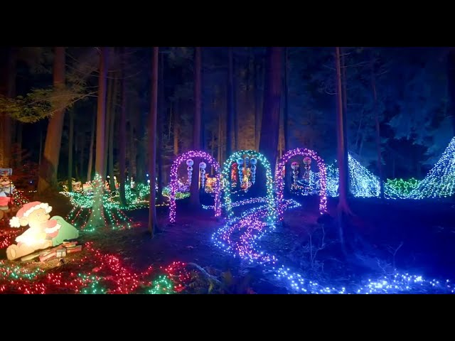 ⁣3 million lights set to illuminate Vancouver's Stanley Park | Tickets for Bright Nights