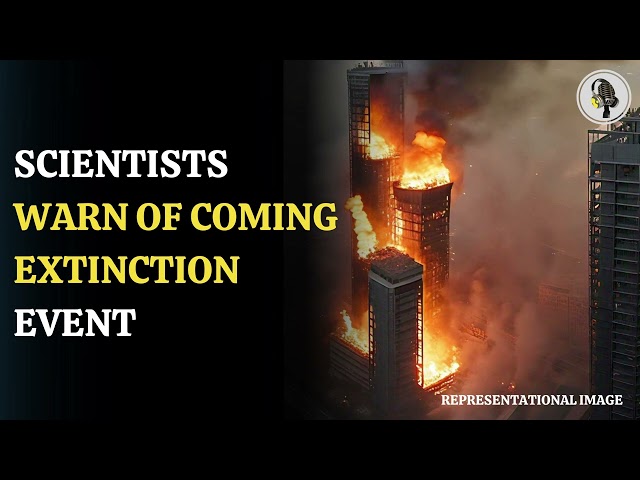 ⁣Scientists Warn Of Coming Extinction Event | WION Podcast