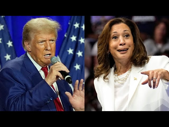 ⁣‘Clean sweep’: Donald Trump beats Kamala Harris in ‘landslide’