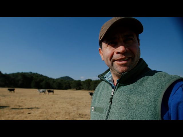 ⁣Portraits of Latin America: Sergio Hernandez on bullfighting