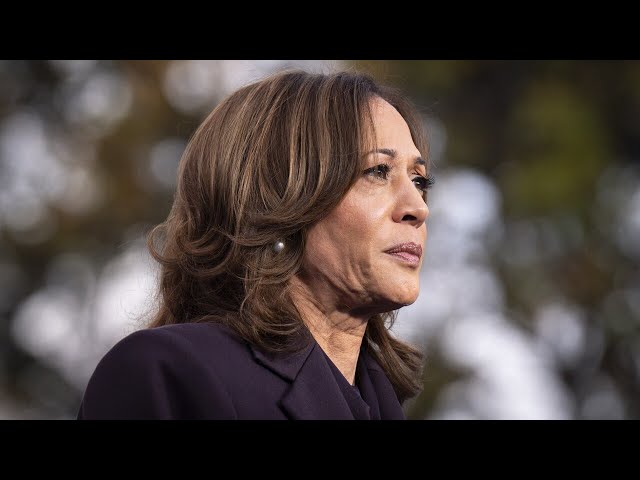 ⁣Democrats refuse to look at why they were 'rejected so forcefully'