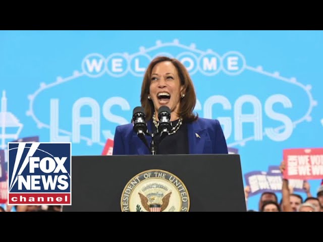 ⁣2024 outcome was ‘not a Kamala Harris problem,’ Dem rep says