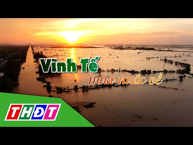 ⁣Ký ức bên những dòng kênh | Tập 44: Vĩnh Tế - Mùa nước về | THDT