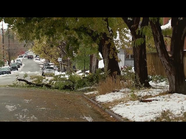 ⁣Residents cleanup the aftermath following heavy snow