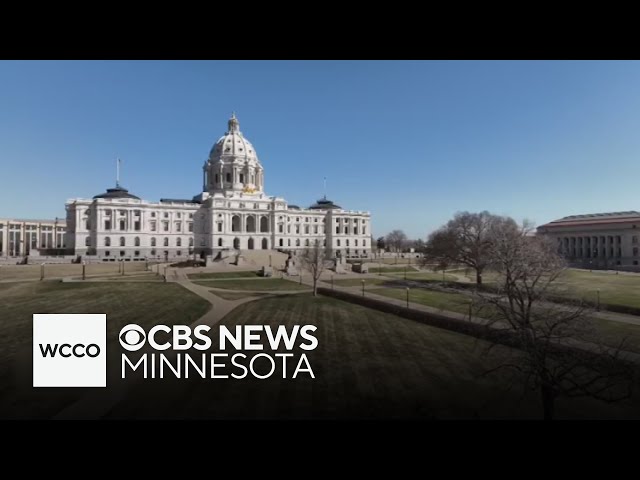 ⁣Minnesota House Republican leader questions call of 2 races