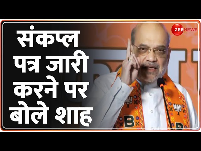 ⁣Amit Shah on BJP Sankalp Patra: संकल्प पत्र जारी करने के बाद शाह की पहली प्रतिक्रिया | Maharashtra