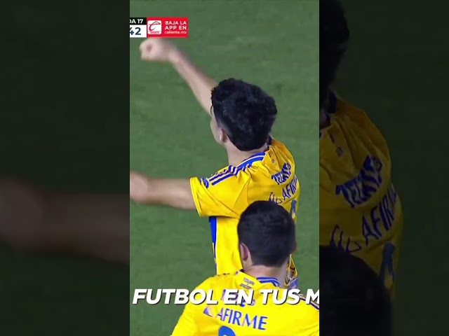 ⁣¡Ibáñez abre la cuenta de TIGRES!  #shorts