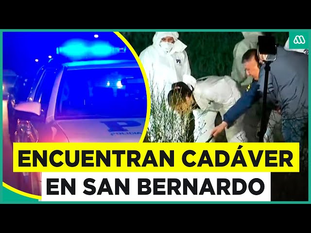 ⁣"Estaba esqueletizado": Encuentran cuerpo en un sitio eriazo de San Bernardo