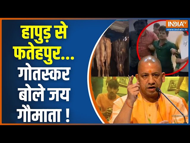 ⁣Dharmyudh: इलियास की कुल्हाड़ी, हसीन का तमंचा ..निशाने से नहीं बचा! | Action Against Cow Smugglers