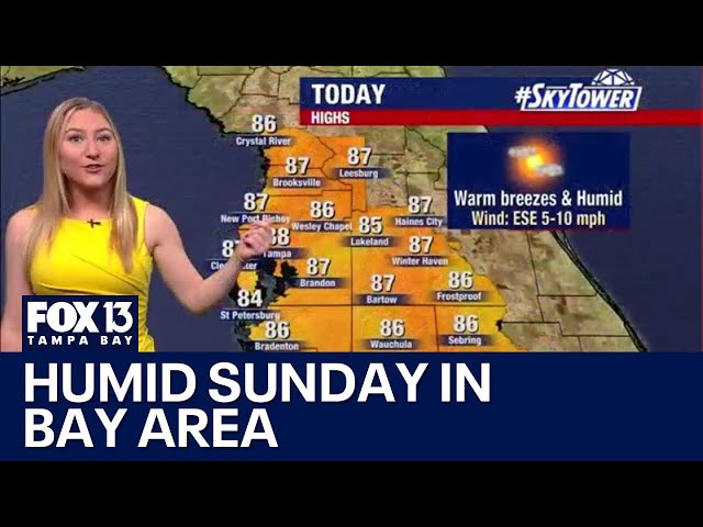 ⁣Tampa weather: Humid Sunday in Bay Area