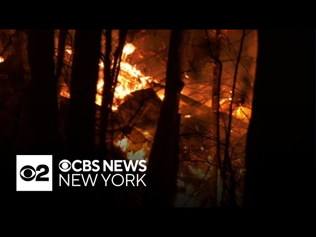 ⁣New York forest ranger dies battling wildfire, officials say