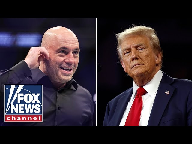 ⁣Joe Rogan advises Trump after 2024 victory: 'Let them all talk their s---'