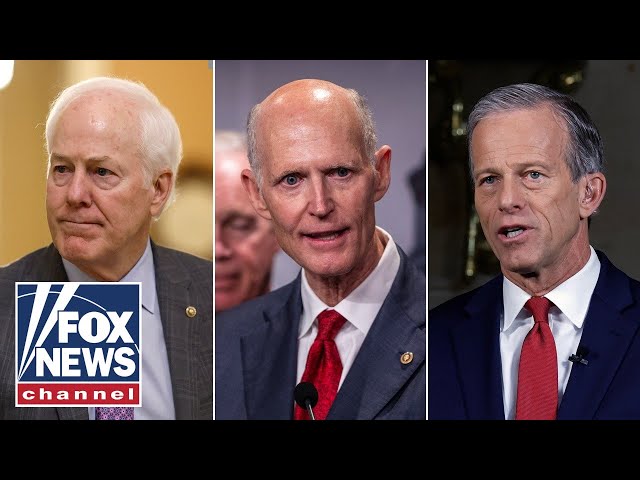 ⁣Senate Republicans battle over new leadership in race to replace McConnell