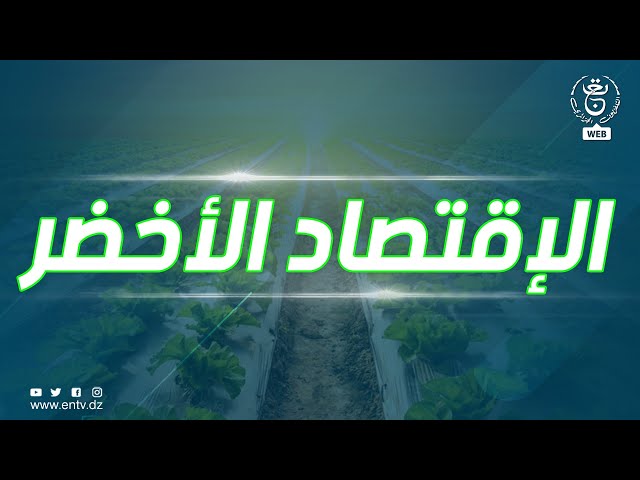 ⁣الإقتصاد الأخضر - الأحد 10 نوفمبر 2024