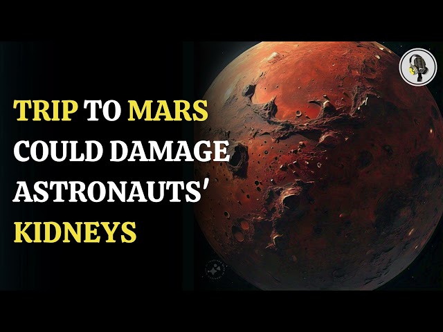 ⁣Mars Missions May Harm Astronauts' Kidneys, New Study Reveals | WION Podcast