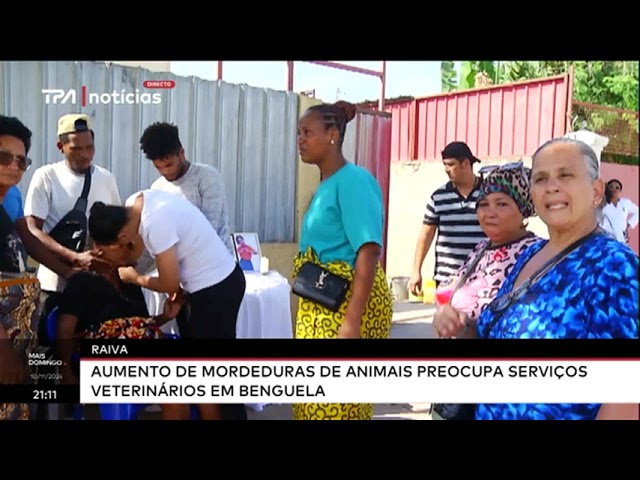 ⁣Raiva - Aumento de mordedura de animais preocupa serviços veterinários em Benguela