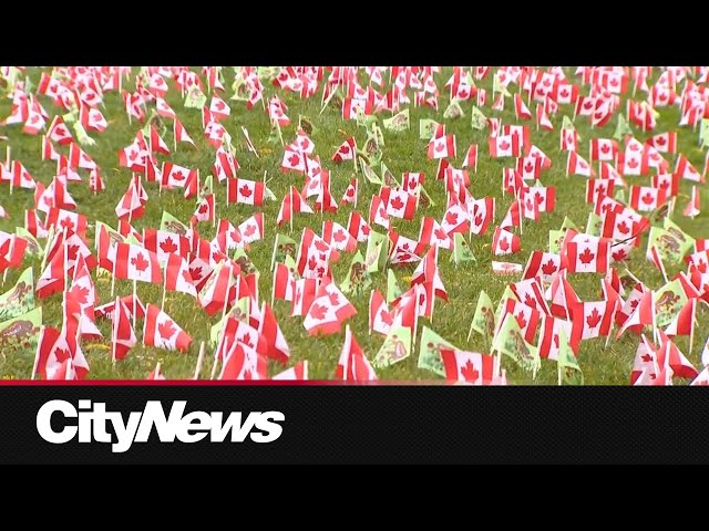 ⁣Planting flags at Sunnybrook in honour of Canadian Veterans