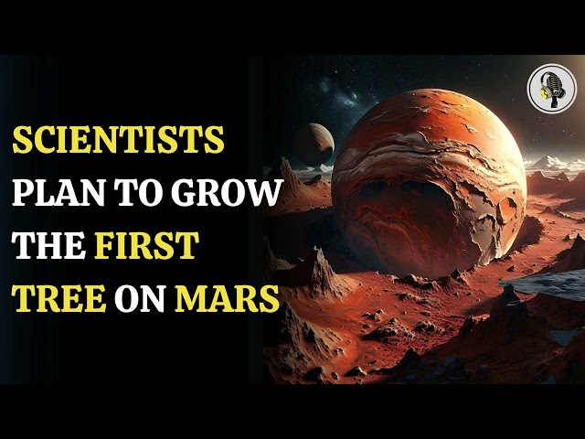 ⁣Scientists Plan to grow the first tree on mars | WION Podcast