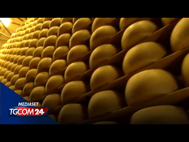 ⁣Furti di formaggio in tutta Europa: è il cibo più rubato al mondo