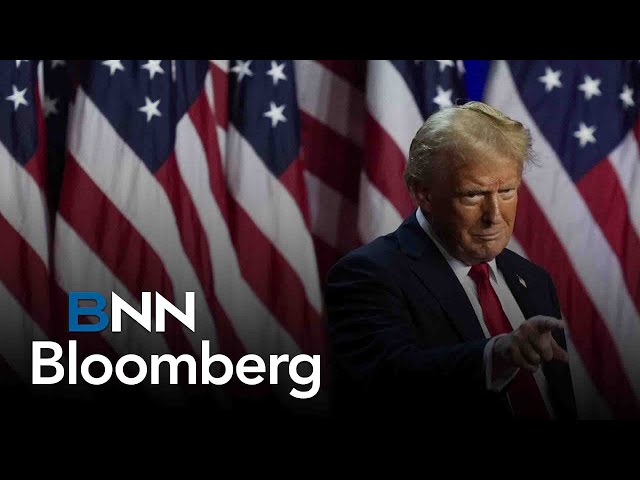 ⁣Markets to calm down in Trump 'euphoria' aftermath: portfolio manager