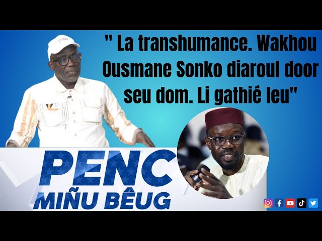 ⁣Cheikh Yerim Seck " La transhumance. Wakhou Ousmane Sonko diaroul door seu dom. Li gathié leu &