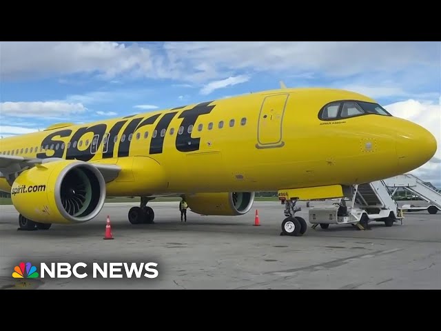 ⁣Spirit Airlines flight attendant hurt after plane struck by gunfire