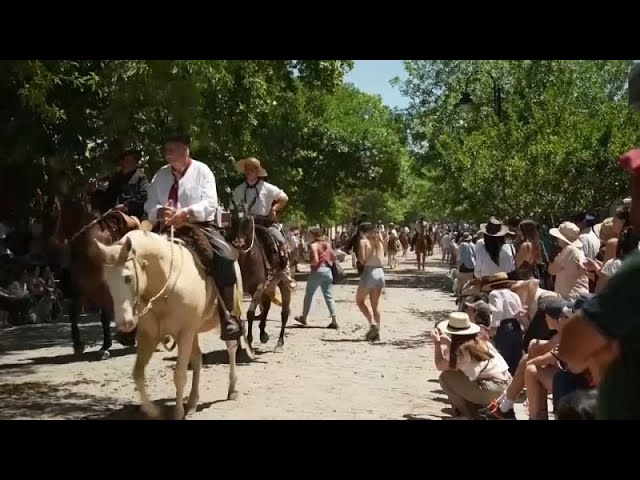 ⁣NO COMMENT: Buenos Aires celebra el Día de la Tradición y homenajea a los gauchos