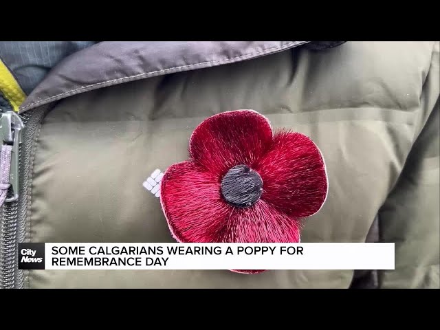 ⁣Wearing poppies for Remembrance Day