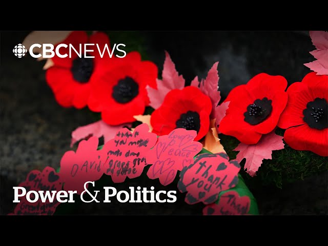 ⁣Veterans Affairs minister decries 'cheap political games' around Remembrance Day | Power &