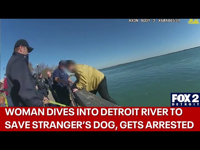 ⁣Woman dives into Detroit River to save dog, ends up in handcuffs