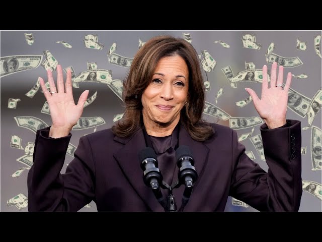 ⁣Kamala Harris' failed campaign in massive debt after 'lying to donors'