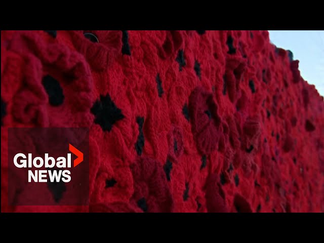 ⁣Over 10,000 woolen poppies mark season of remembrance in Ontario town