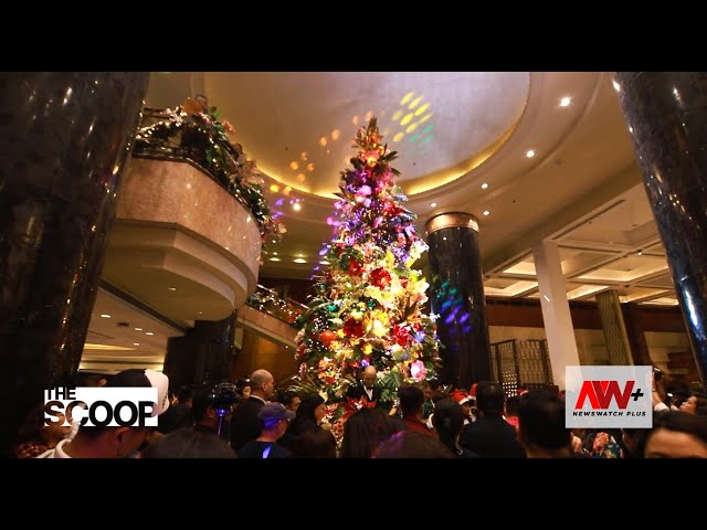 ⁣The Scoop: Diamond Hotel Philippines' Christmas Tree Lighting