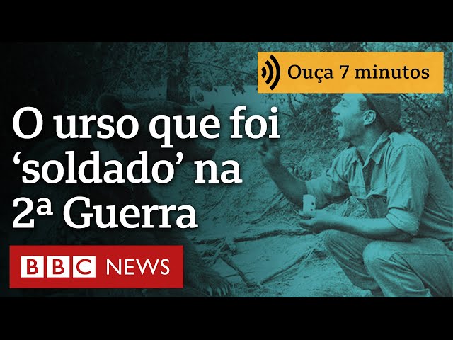 ⁣O urso que se tornou 'soldado' do Exército polonês na Segunda Guerra Mundial